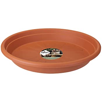 Tree Saucer Rim Round Saucer | Terracotta & Plastic Saucer