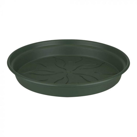 Round Saucer | Green | Pots & Planters