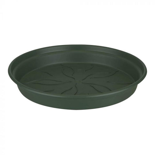 Round Saucer | Green