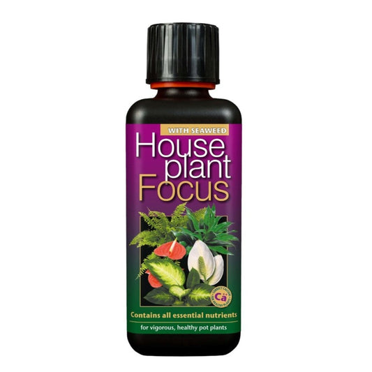 Houseplant Focus  - Plant Food
