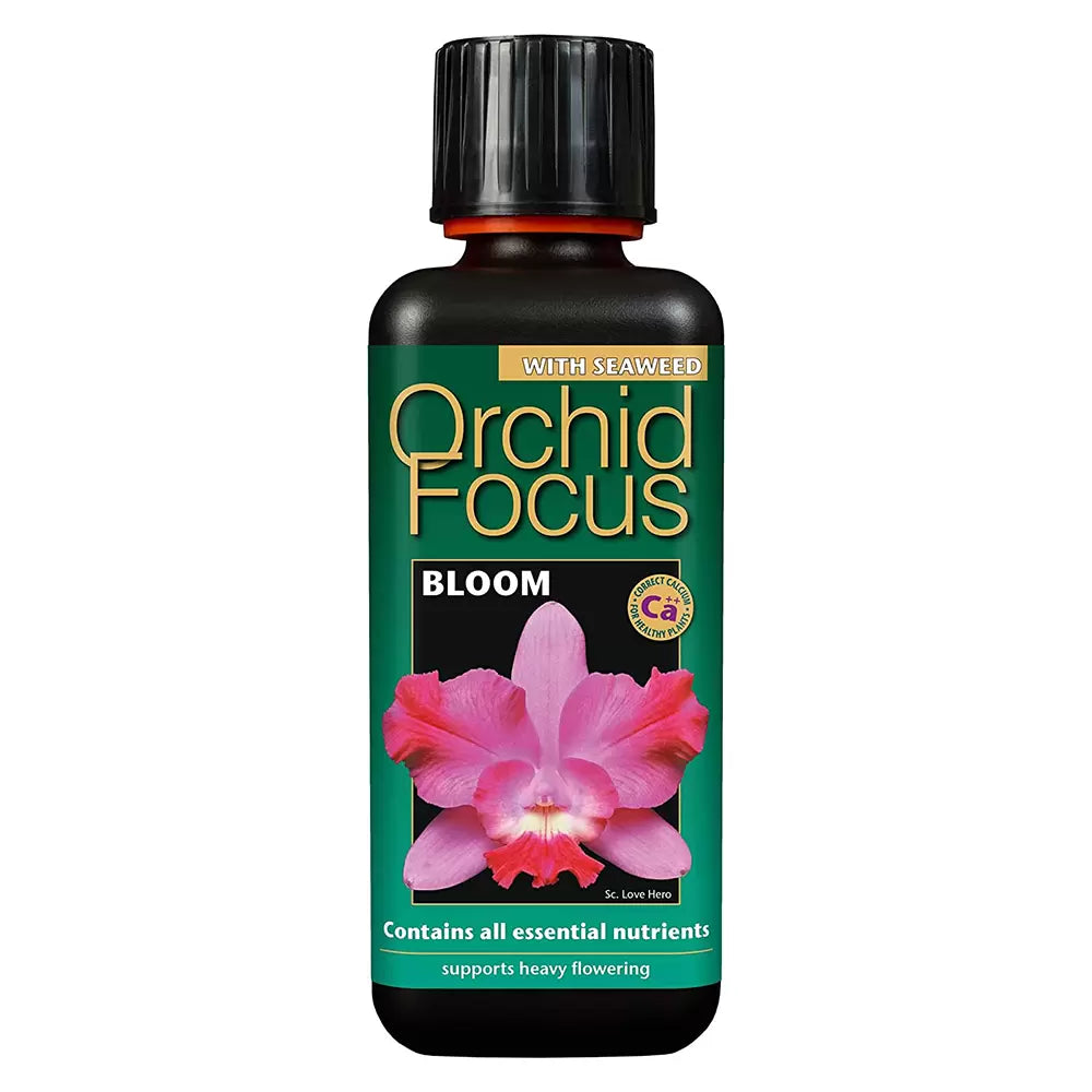 Orchid Focus Bloom - Plant Food