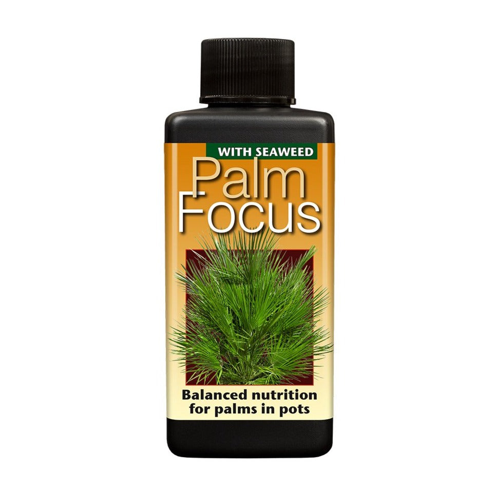 Palm Focus - Plant Food