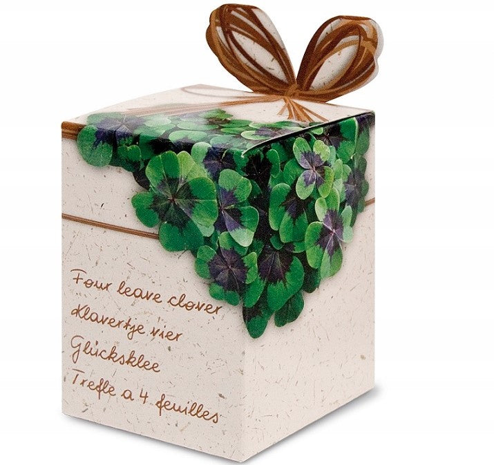 Small Plant Your Own Four Leave Clover Seed Gift Set